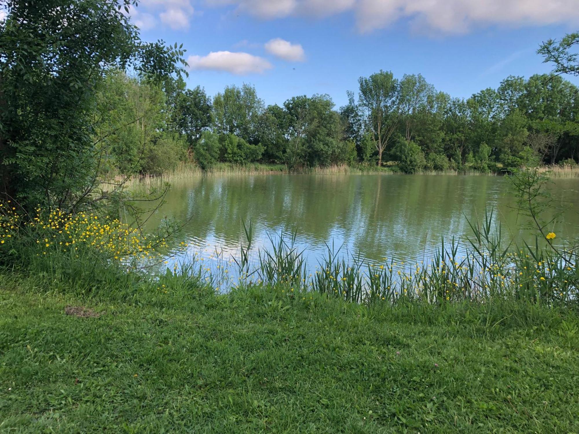 Le Logis De Vallans Exteriér fotografie